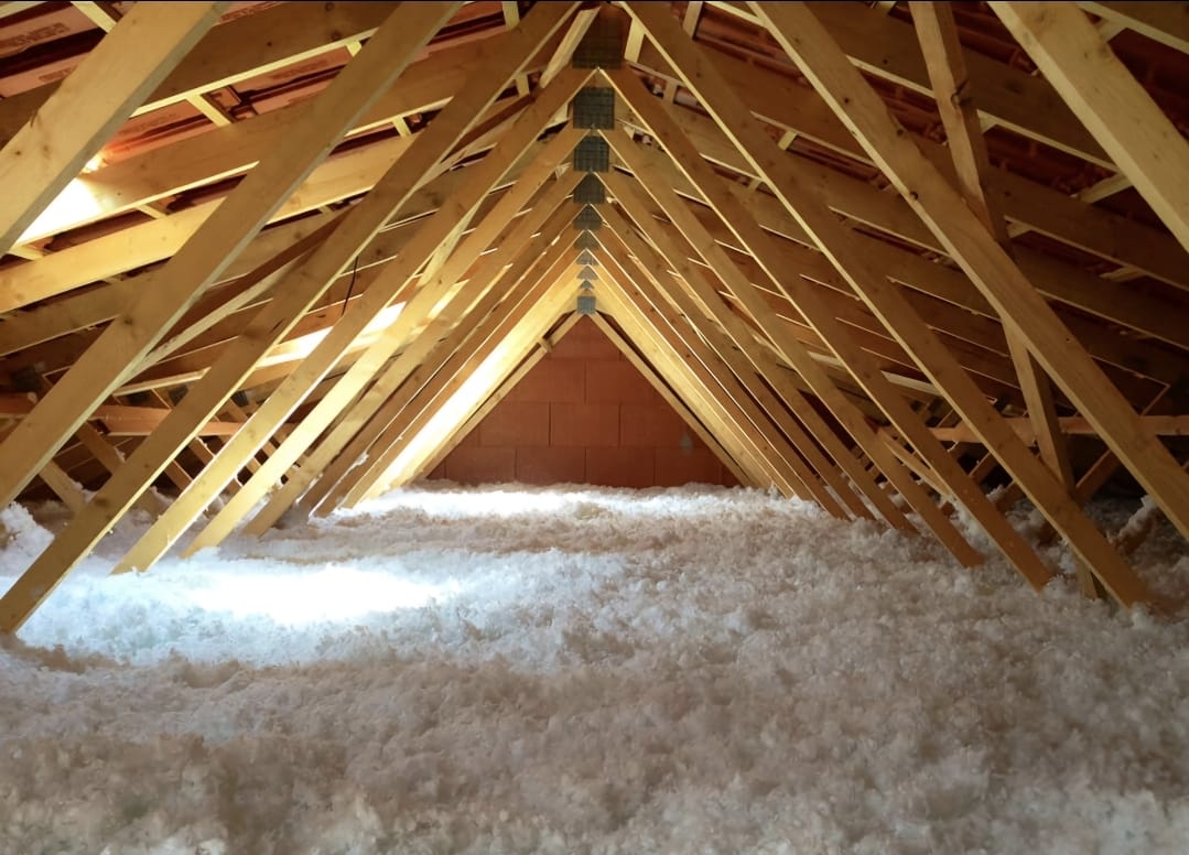 WhatsApp Image 2026-01-15 at 01.08.03